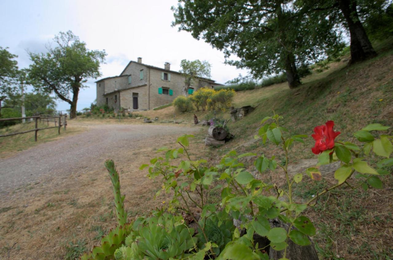 Ca' Scheta Hostal Palazzuolo Sul Senio Exterior foto